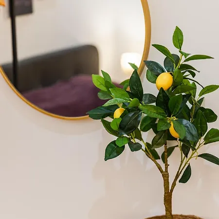 Appartement Lemon Heart Of By Pikhost *